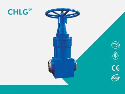 锻钢电站型闸阀